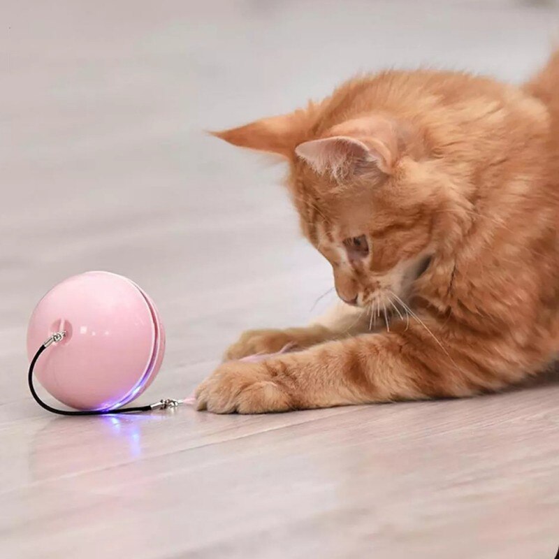 Smart Interactive Cat Toy